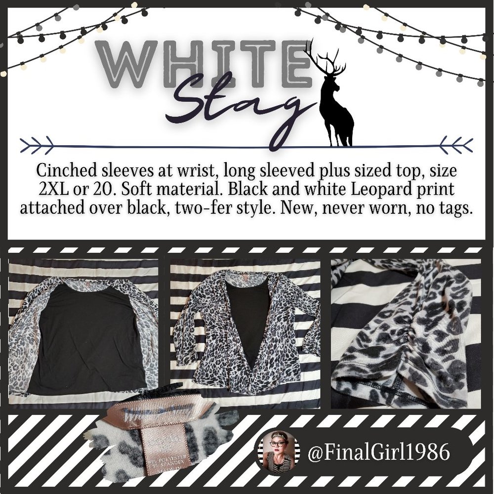 Two-fer Leopard & Black Top